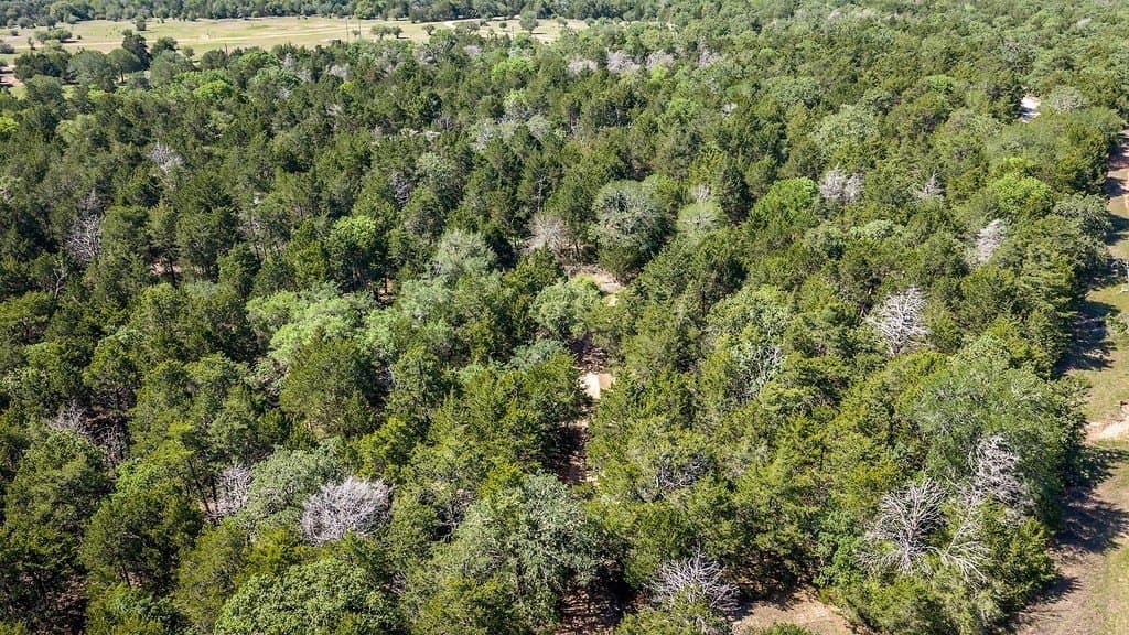 187.09 acres in Fayette County - photo 26