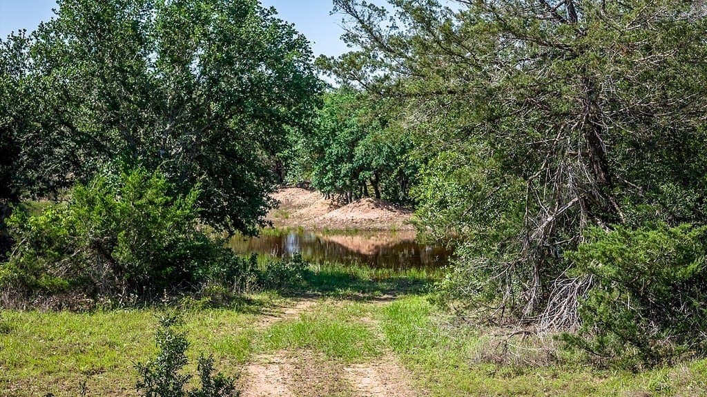 187.09 acres in Fayette County - photo 24