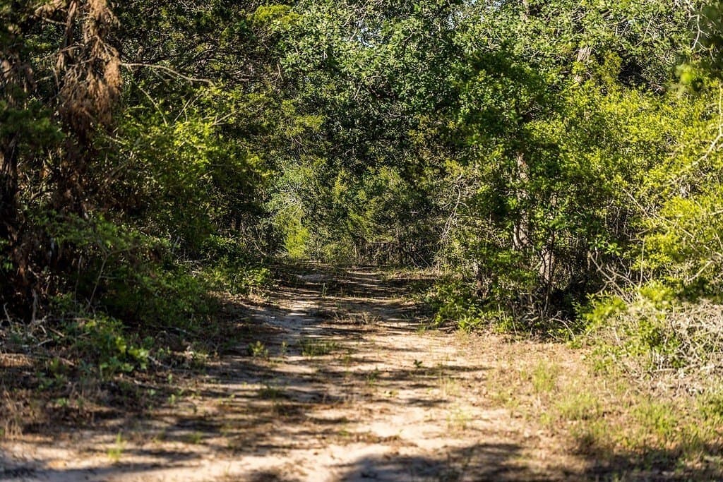 187.09 acres in Fayette County - photo 13