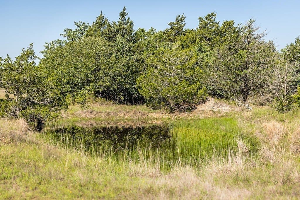 187.09 acres in Fayette County - photo 18