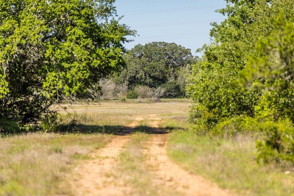 187.09 acres in Fayette County - photo 15
