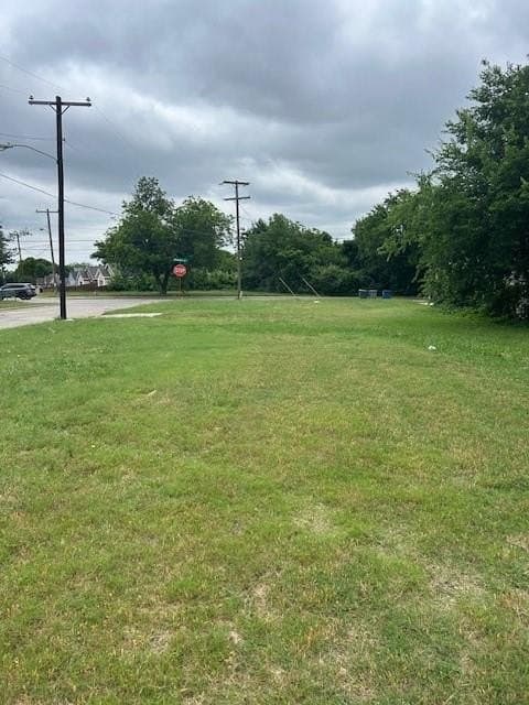 0.23 acres in Dallas County gallery image 2