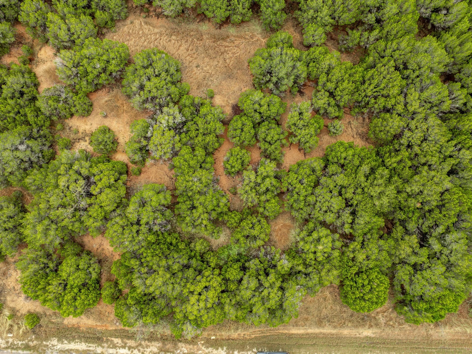 0.24 acres in Hill County - photo 6