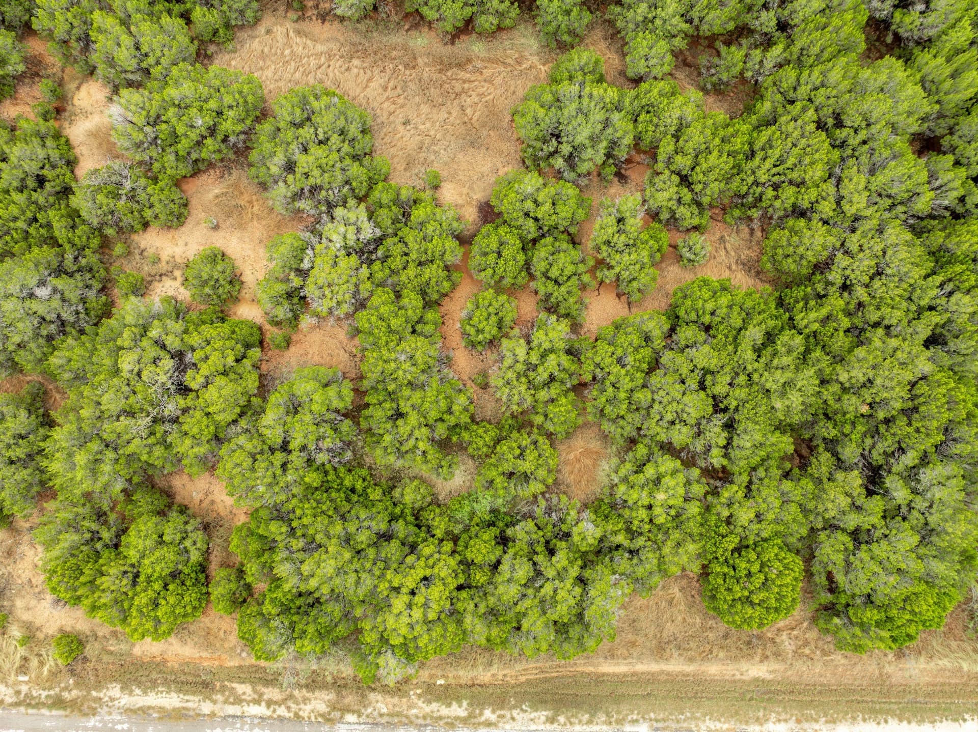 0.24 acres in Hill County - photo 3