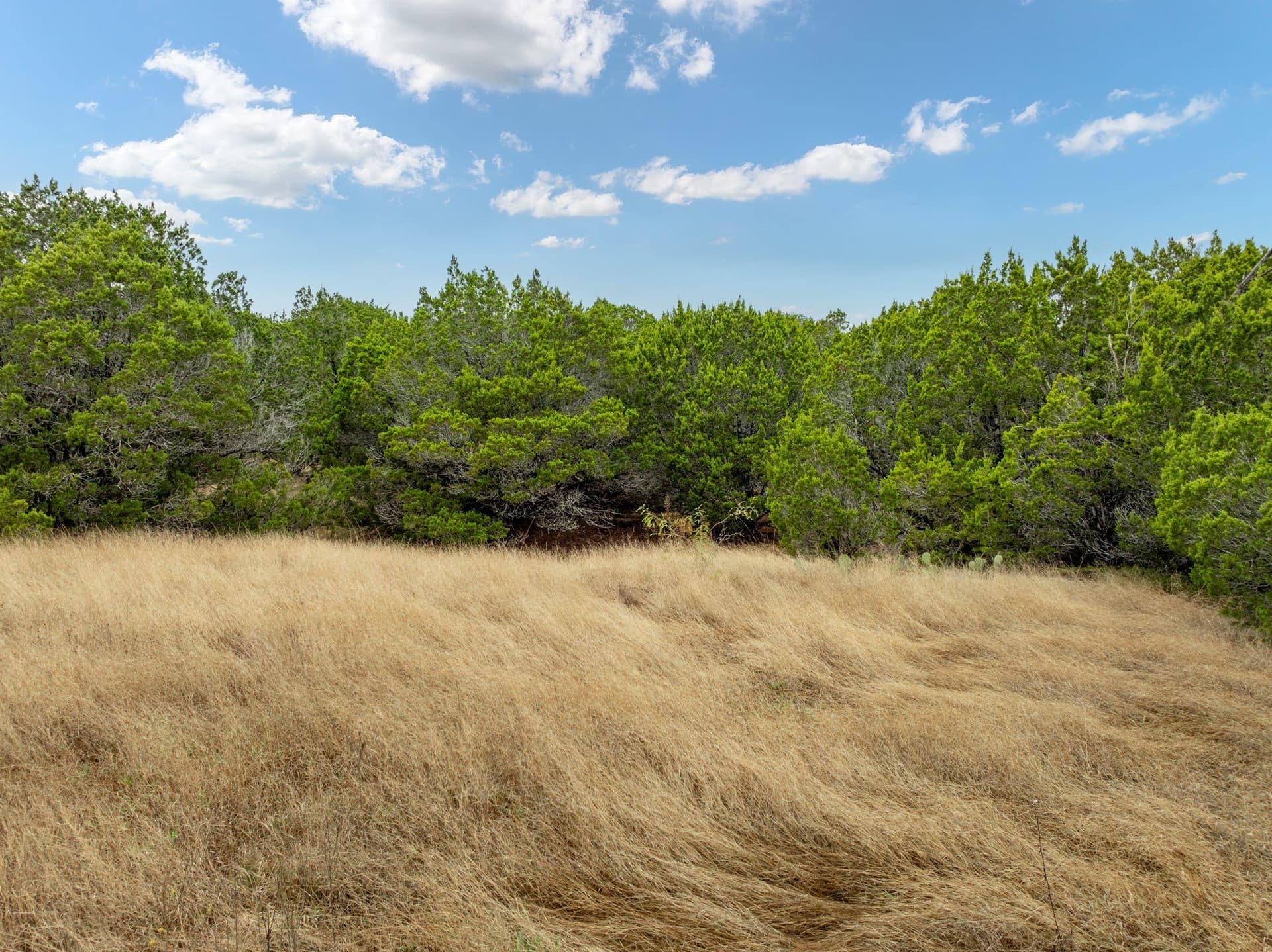 0.24 acres in Hill County - photo 4