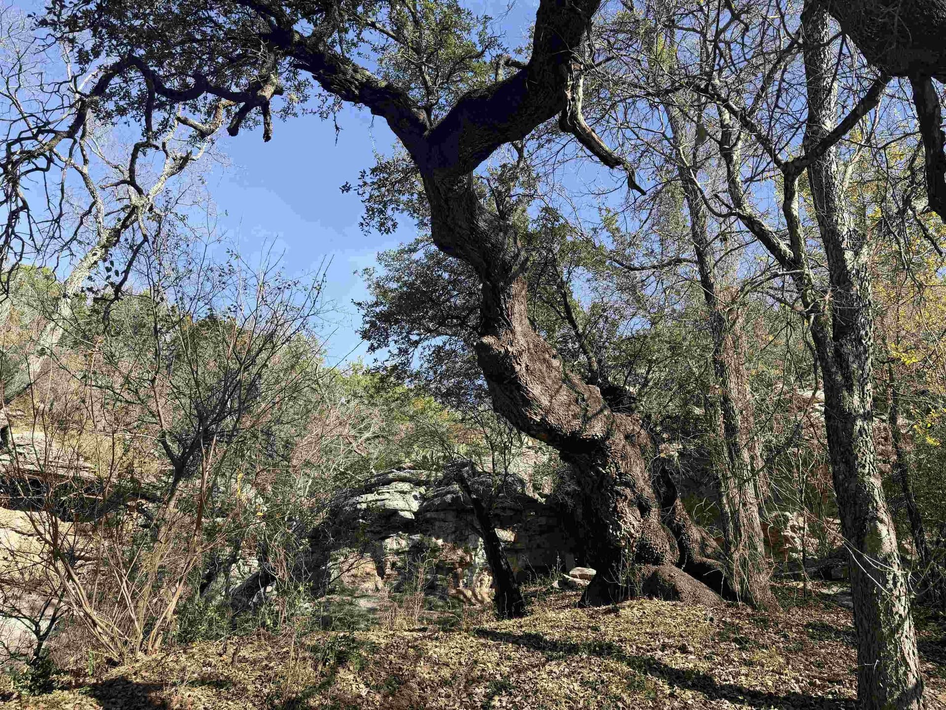 5.33 acres in Lampasas County - photo 6