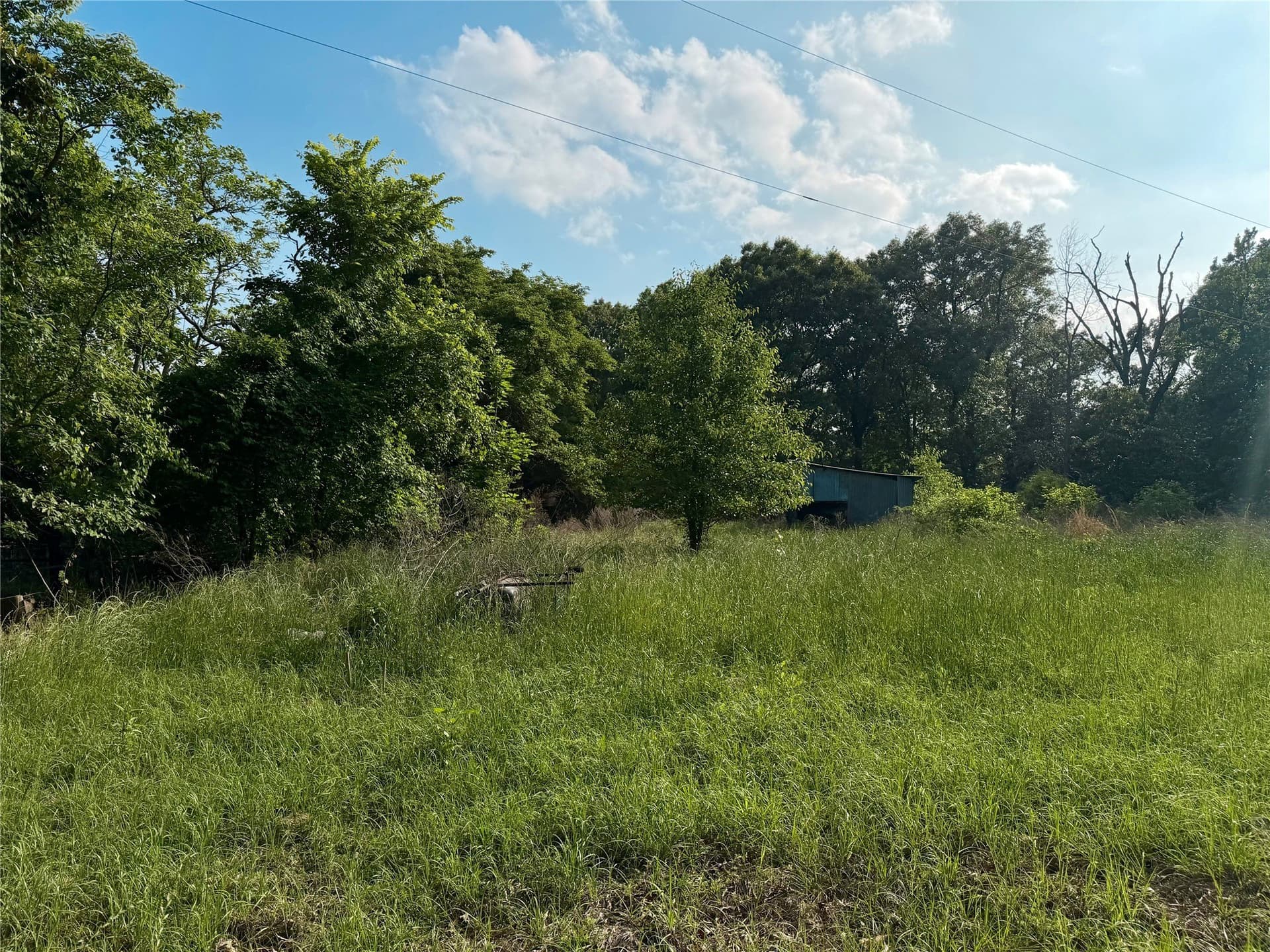 9.42 acres in Van Zandt County gallery image 3