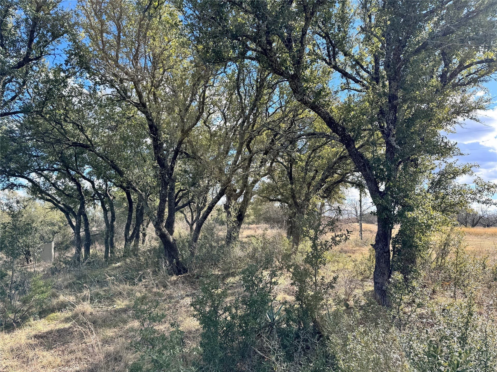0.49 acres in Brown County - photo 12