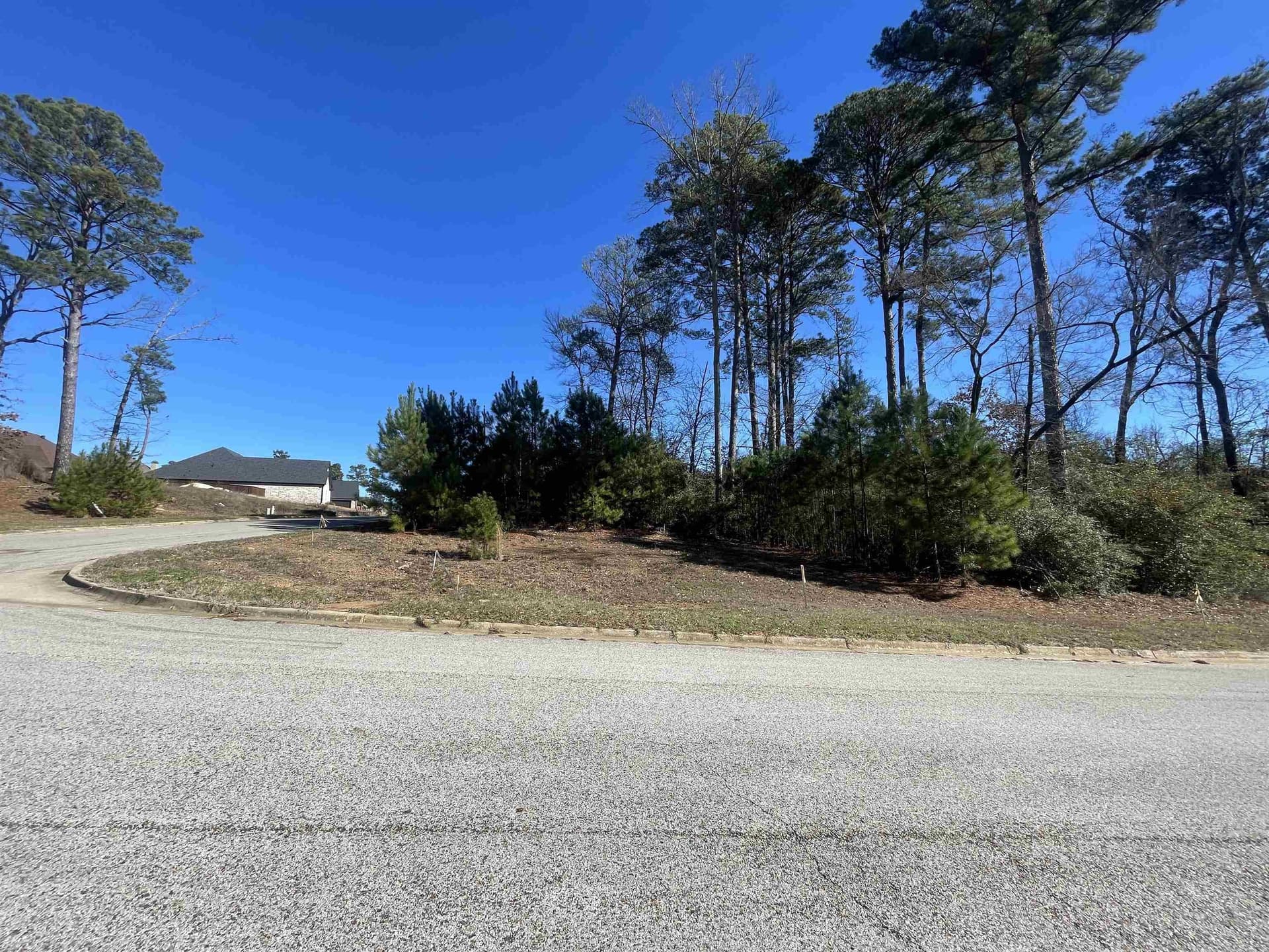 0.25 acres in Gregg County gallery image 4