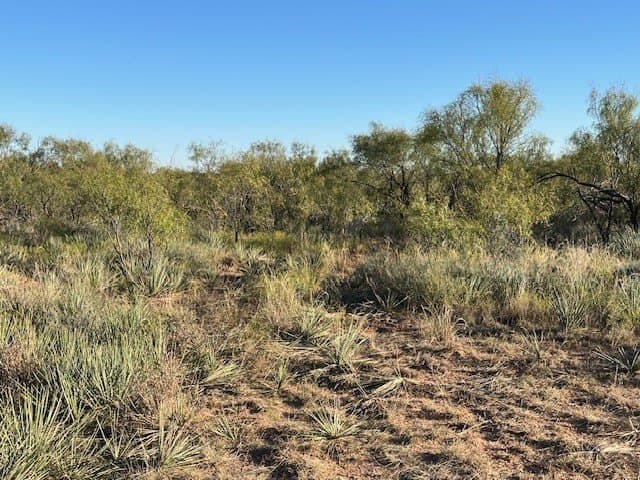 2.5 acres in Fisher County - photo 21
