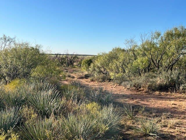 2.5 acres in Fisher County - photo 23
