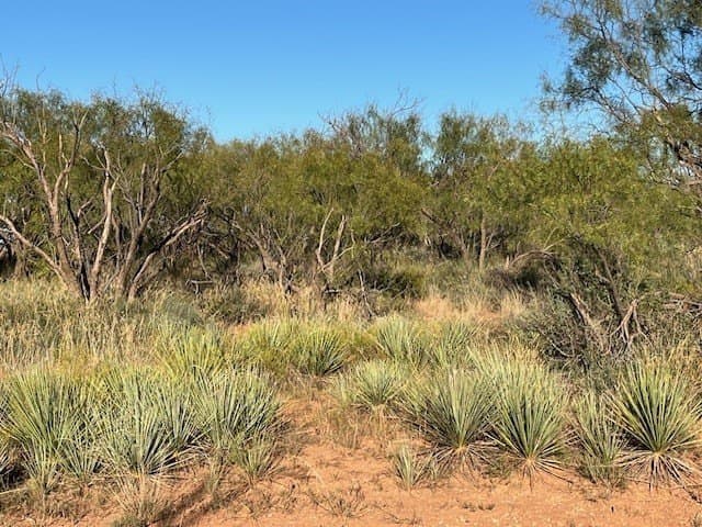 2.5 acres in Fisher County - photo 17