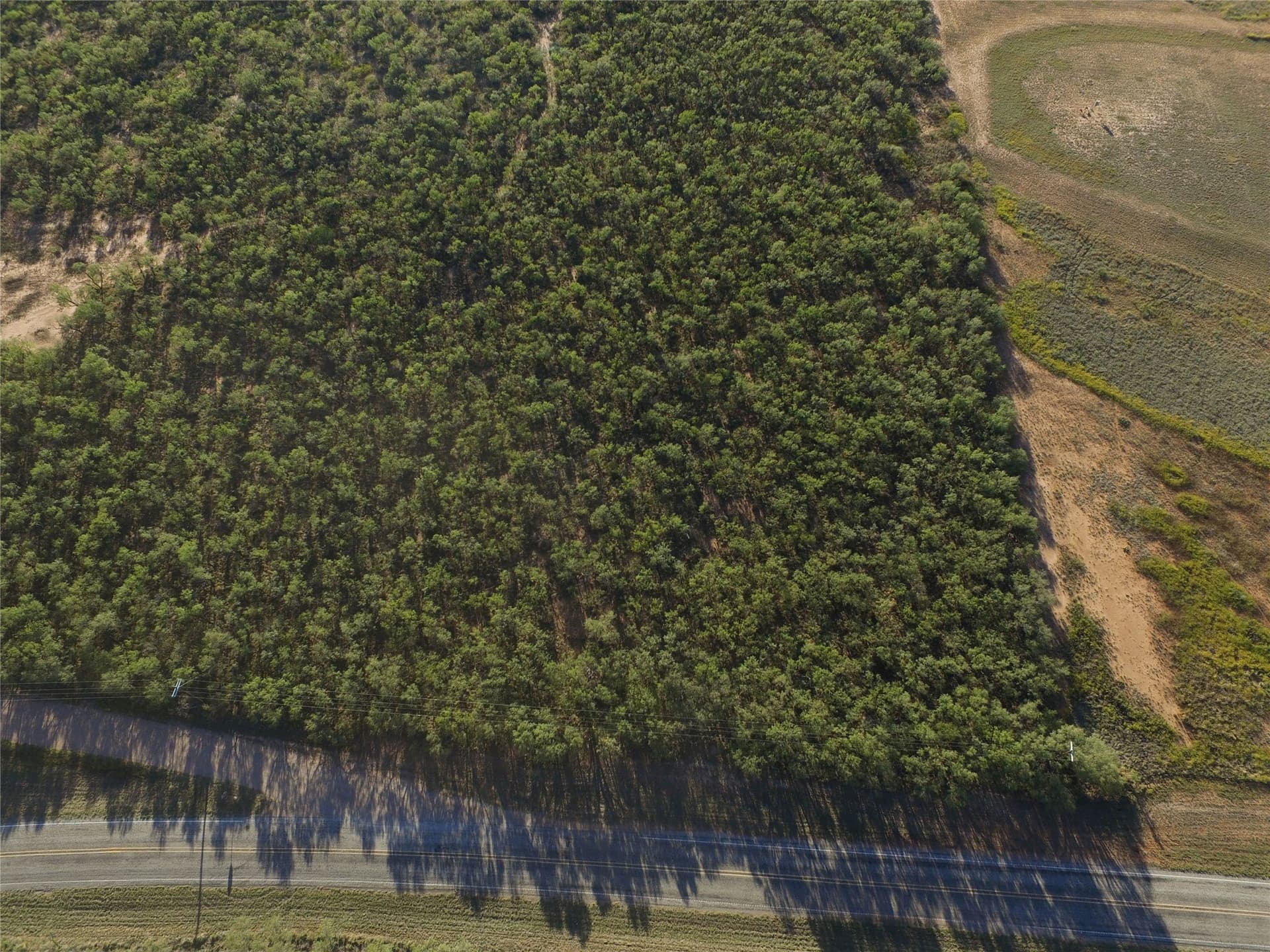2.5 acres in Fisher County - photo 4