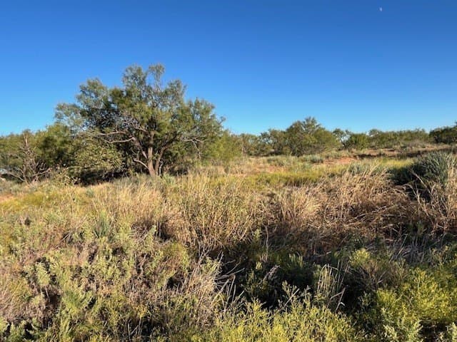 2.5 acres in Fisher County - photo 14