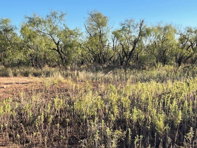 2.5 acres in Fisher County - photo 34