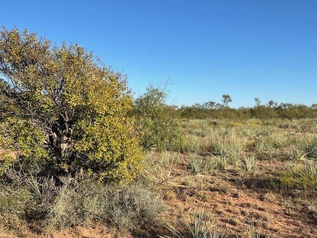 2.5 acres in Fisher County - photo 19
