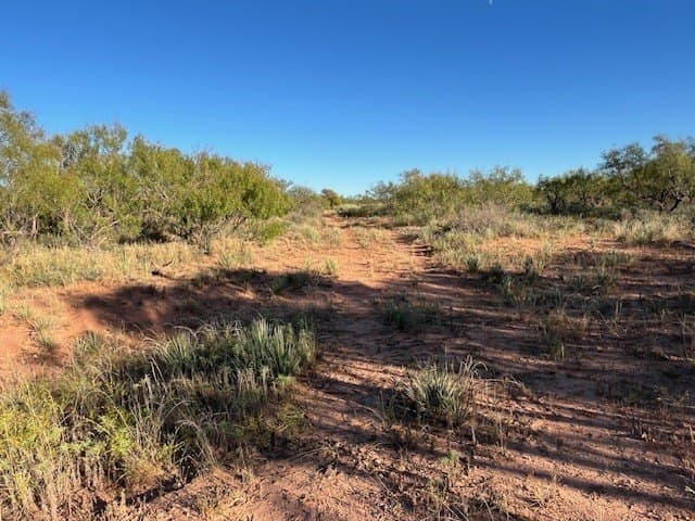 2.5 acres in Fisher County - photo 16