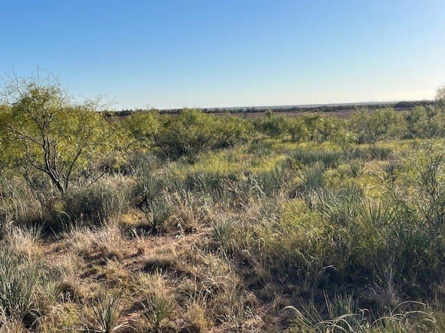 2.5 acres in Fisher County - photo 22