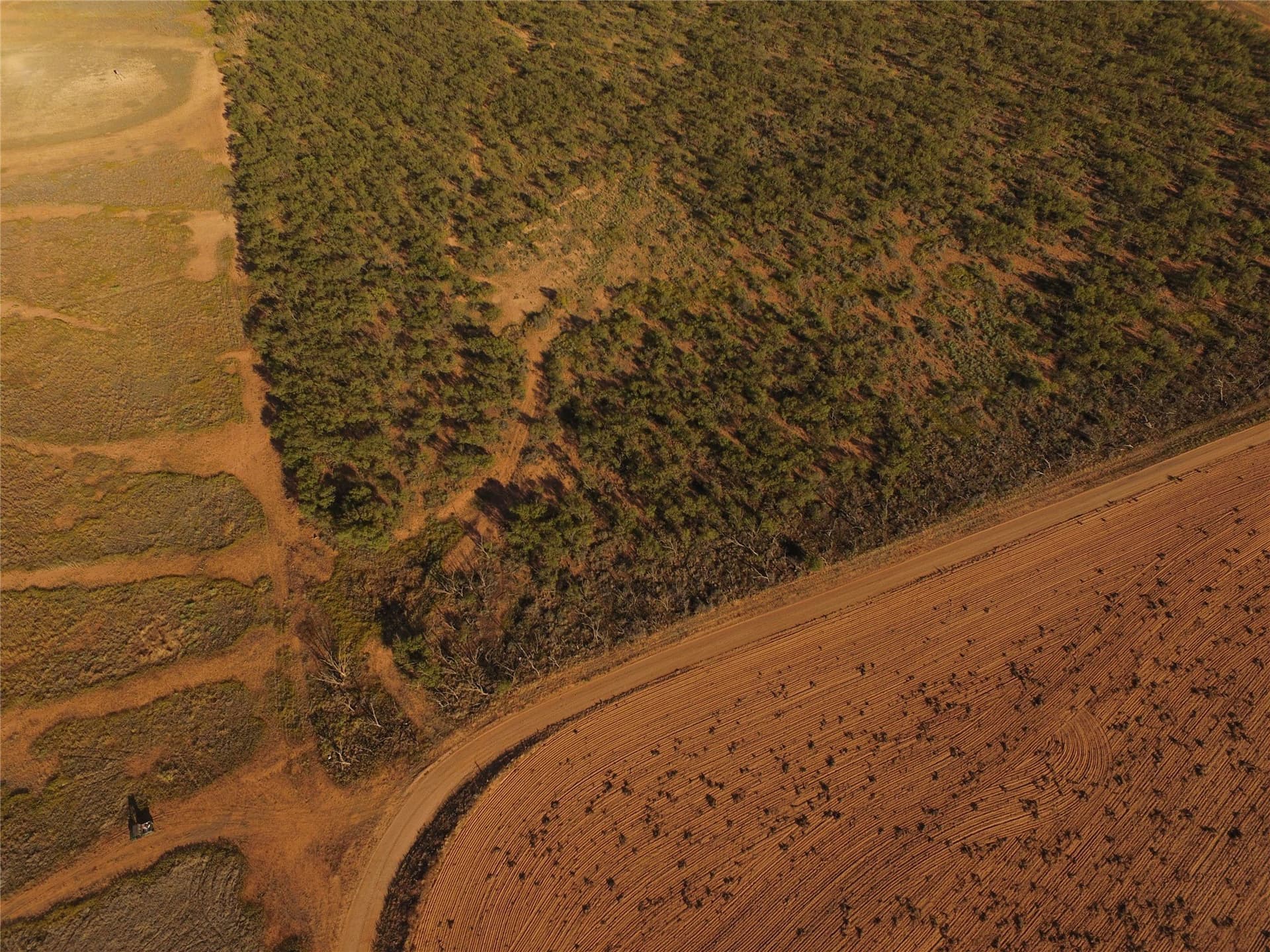 2.5 acres in Fisher County - photo 8