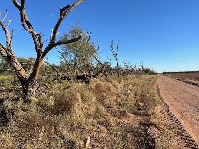 2.5 acres in Fisher County - photo 12