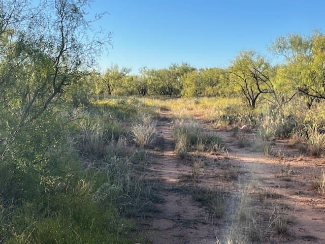 2.5 acres in Fisher County - photo 32