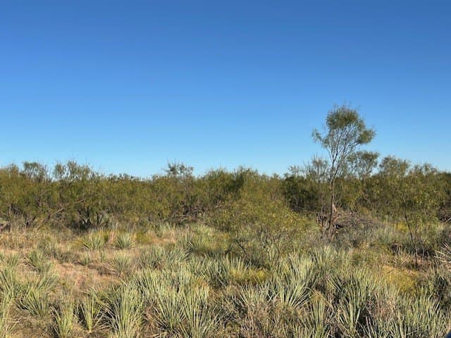 2.5 acres in Fisher County - photo 20