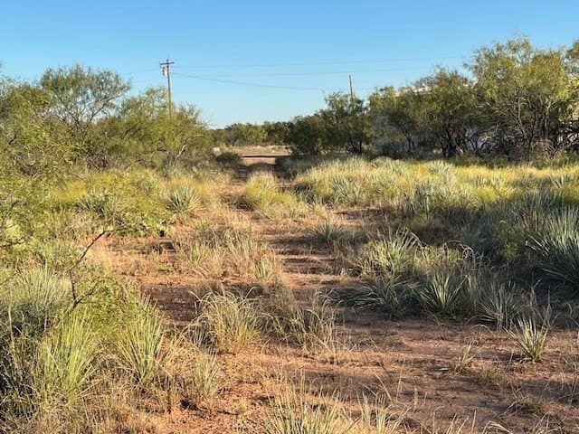 2.5 acres in Fisher County - photo 37