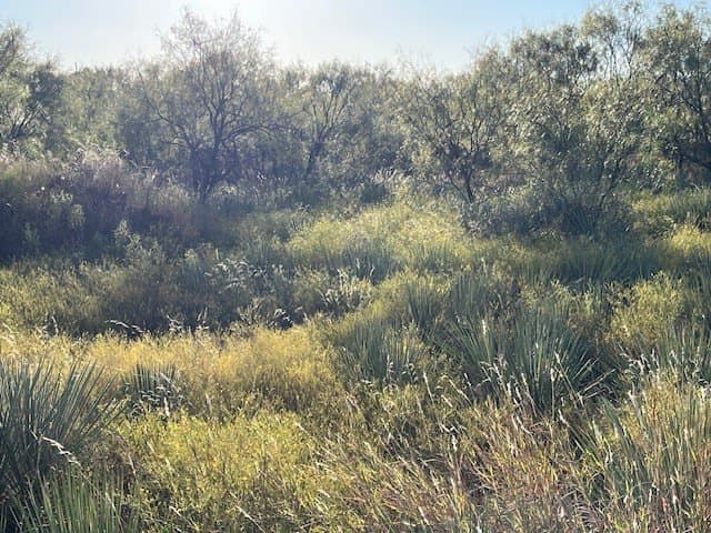 2.5 acres in Fisher County - photo 33