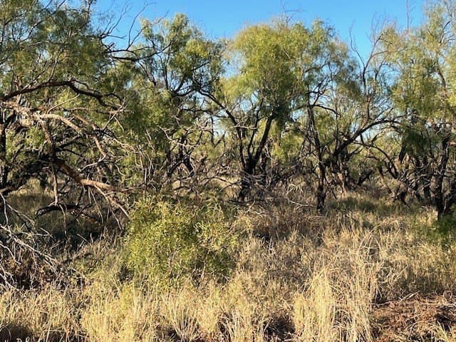 2.5 acres in Fisher County - photo 28