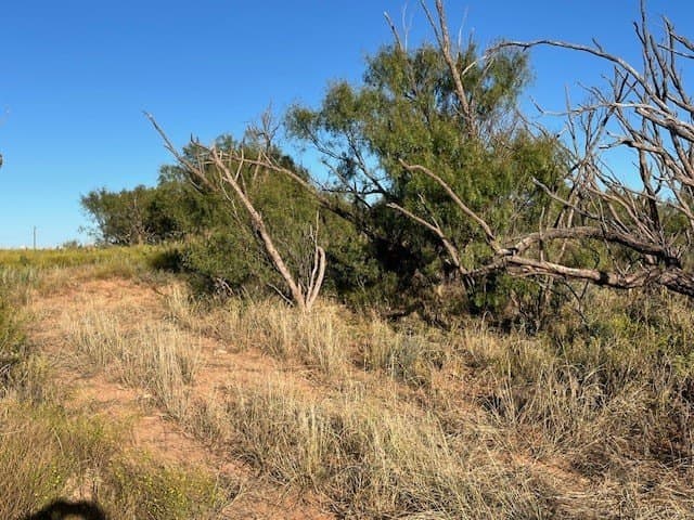 2.5 acres in Fisher County - photo 13