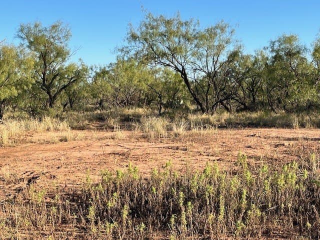 2.5 acres in Fisher County - photo 35