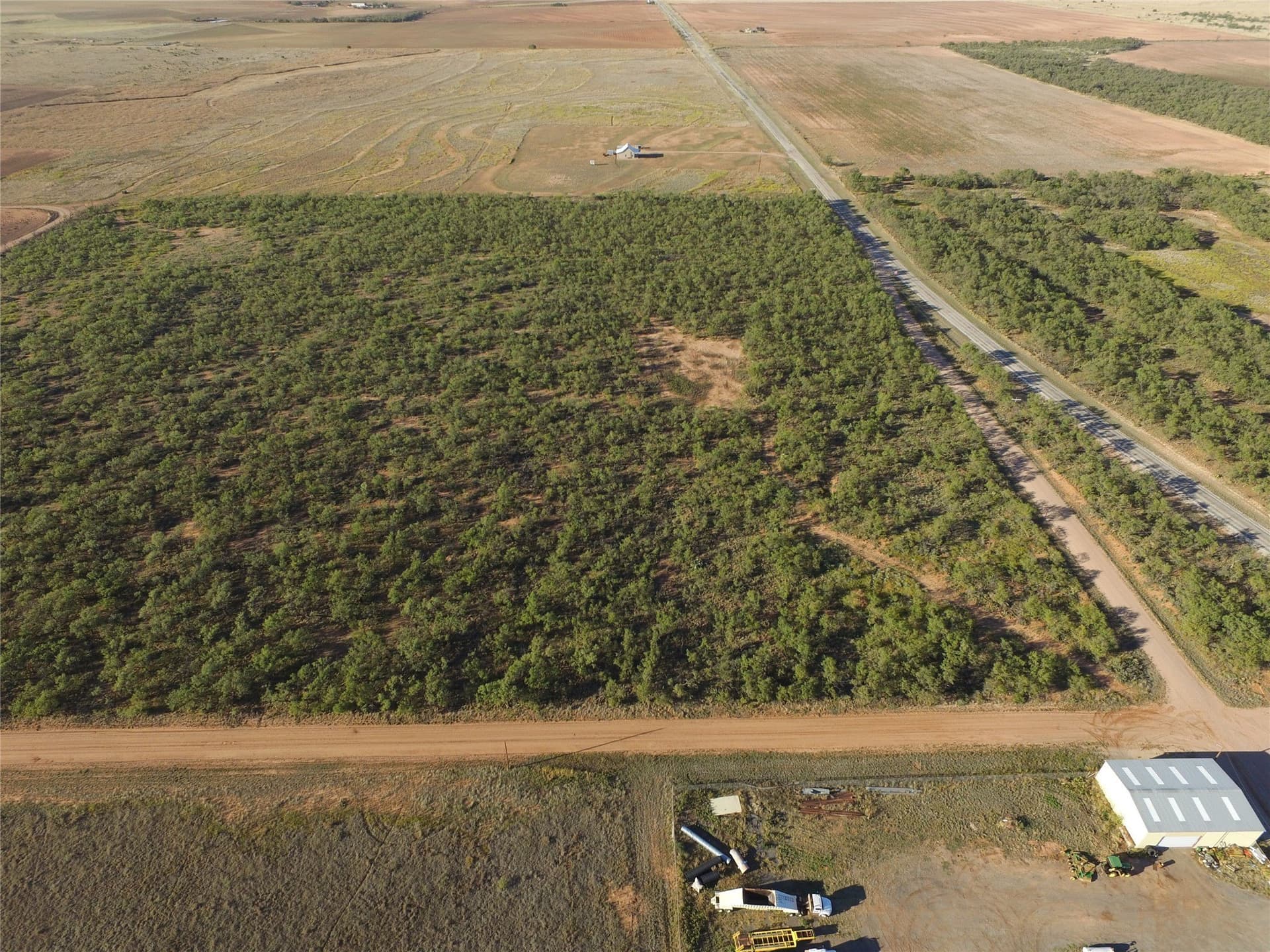 2.5 acres in Fisher County - photo 10