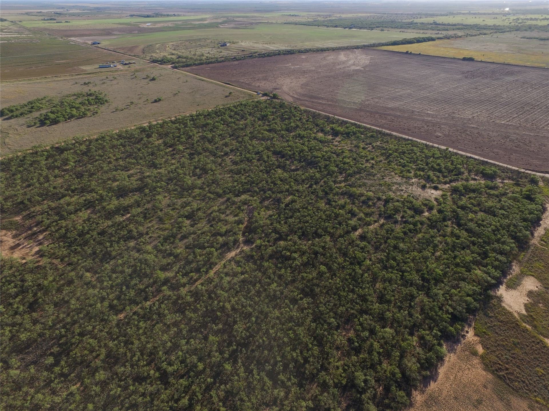 2.5 acres in Fisher County - photo 6