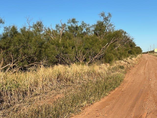 2.5 acres in Fisher County - photo 26