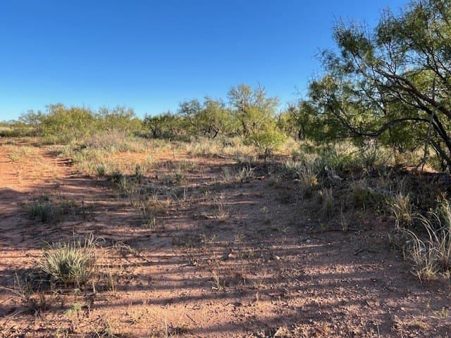 2.5 acres in Fisher County - photo 15