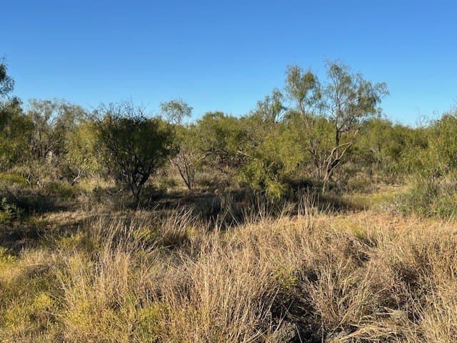 2.5 acres in Fisher County - photo 18
