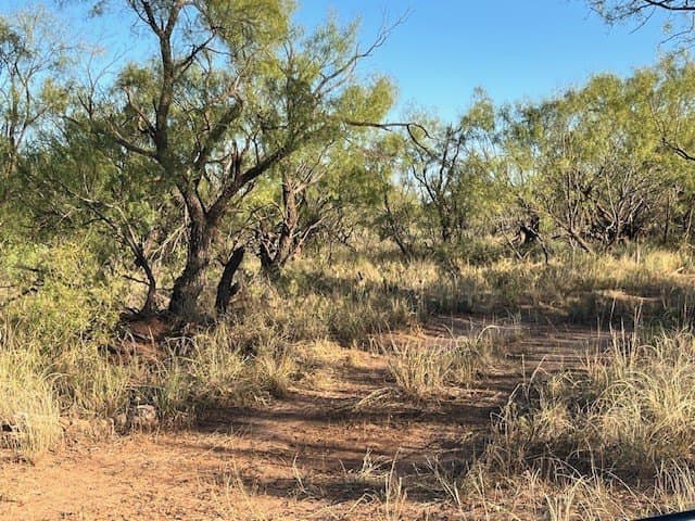 2.5 acres in Fisher County - photo 36
