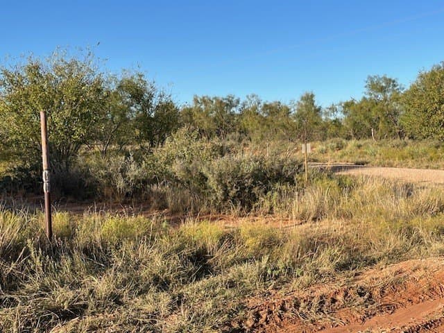 2.5 acres in Fisher County - photo 31