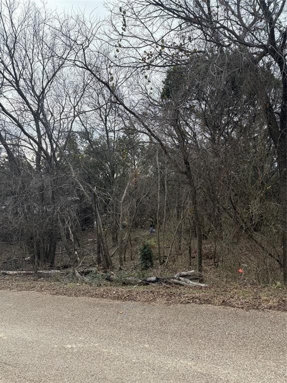 0.08 acres in Hood County gallery image 2