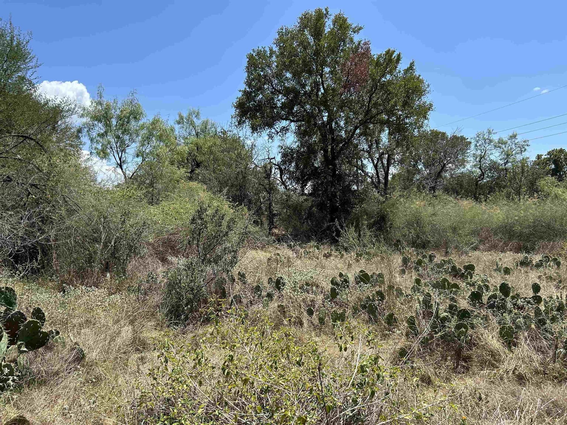 0.35 acres in Llano County gallery image 2
