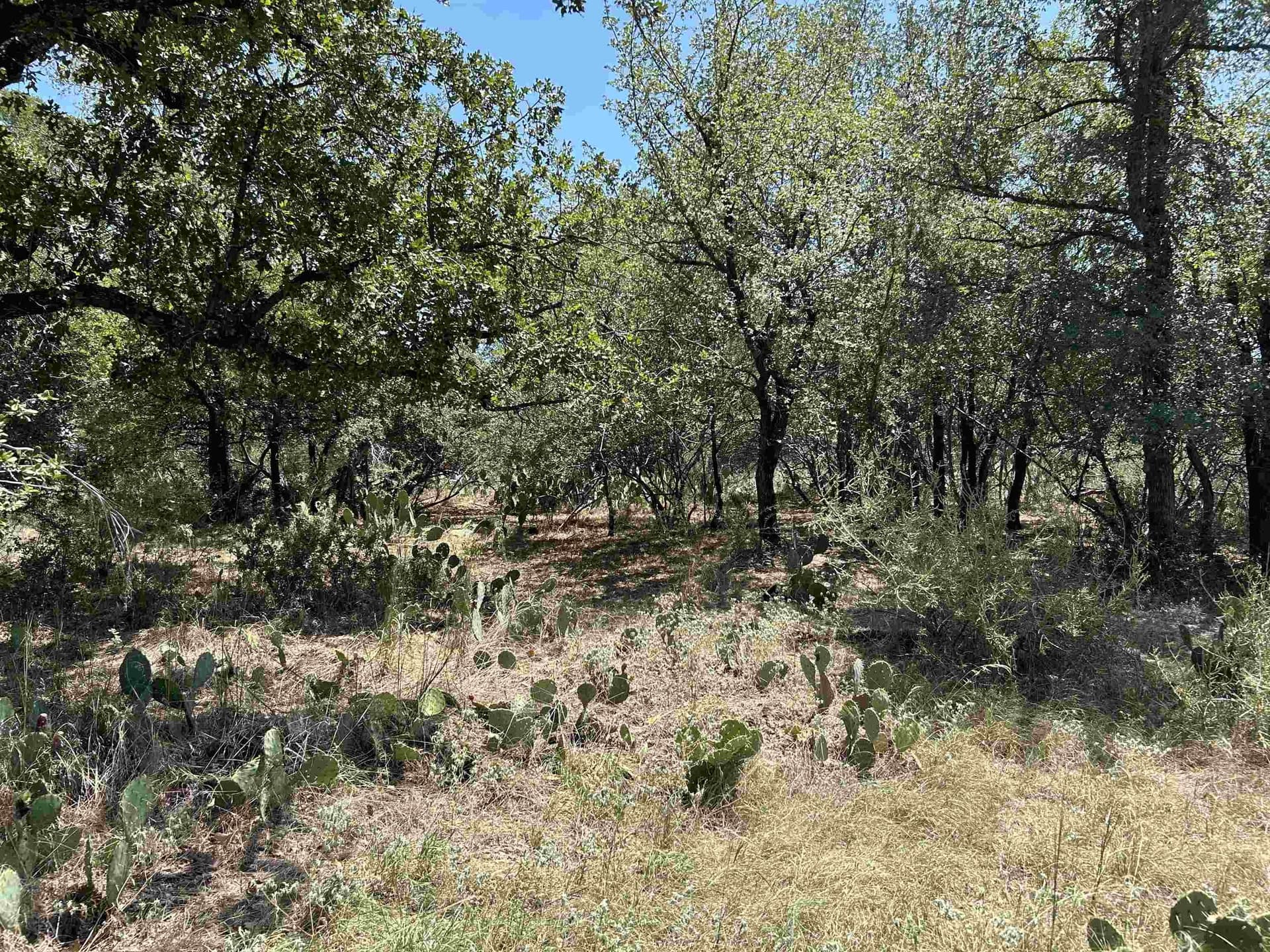 0.35 acres in Llano County gallery image 4