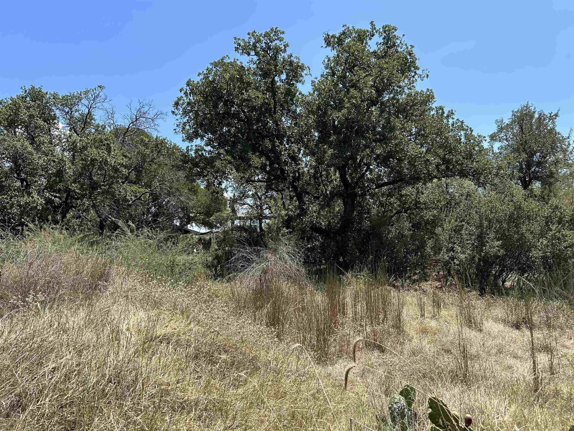0.35 acres in Llano County featured view