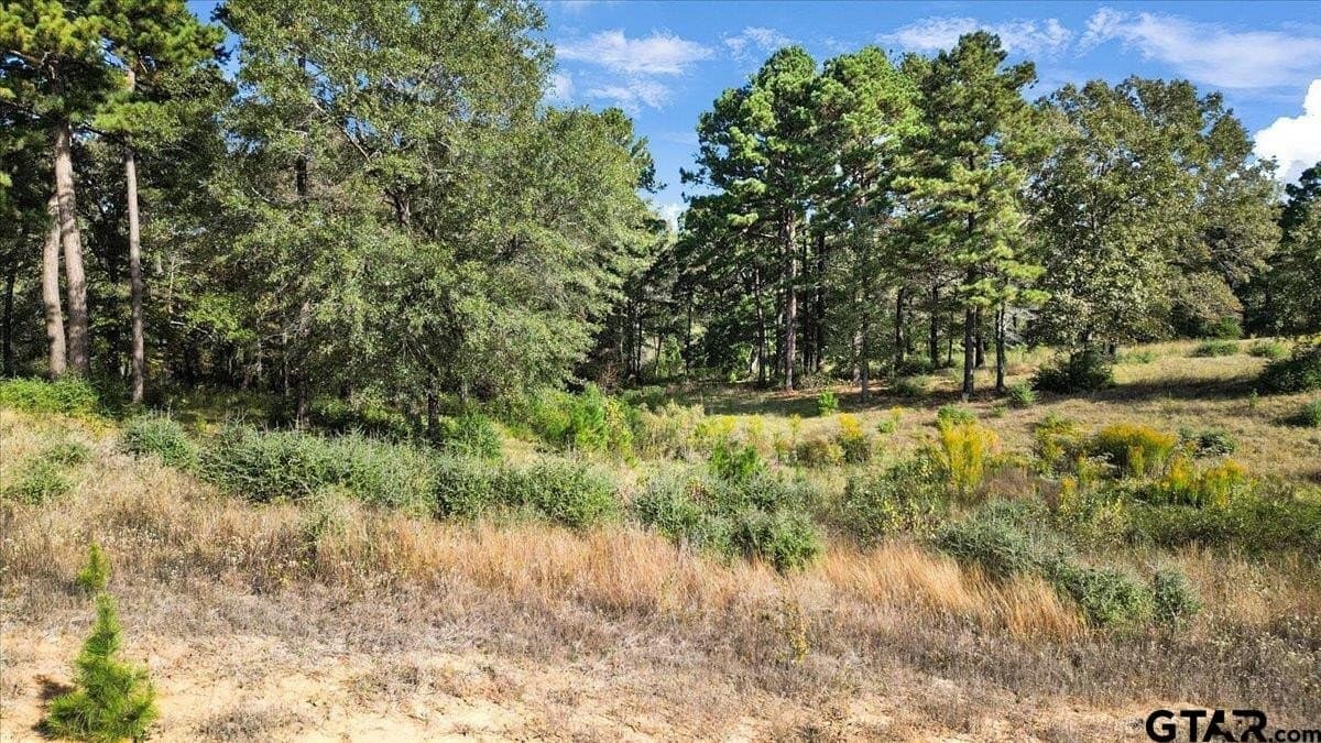 5.09 acres in Upshur County featured view