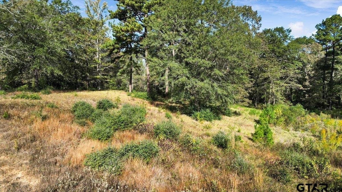 5.09 acres in Upshur County gallery image 4