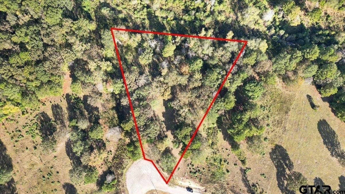 5.09 acres in Upshur County gallery image 2