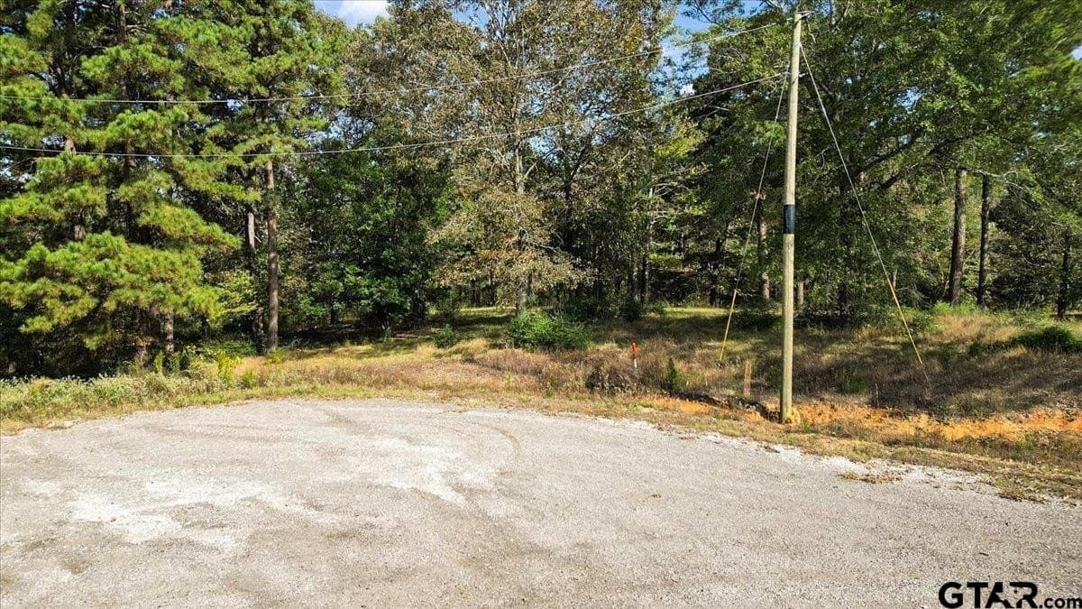 5.09 acres in Upshur County gallery image 3