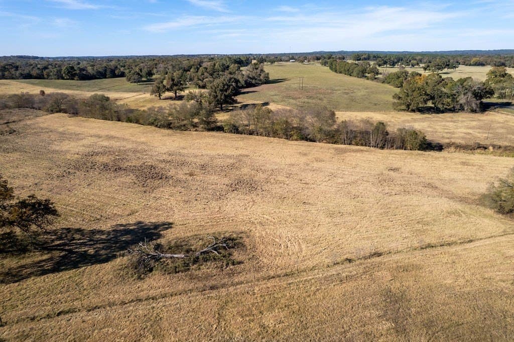 88.67 acres in ANDERSON County - photo 9