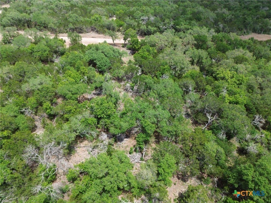 1.52 acres in Bell County gallery image 4