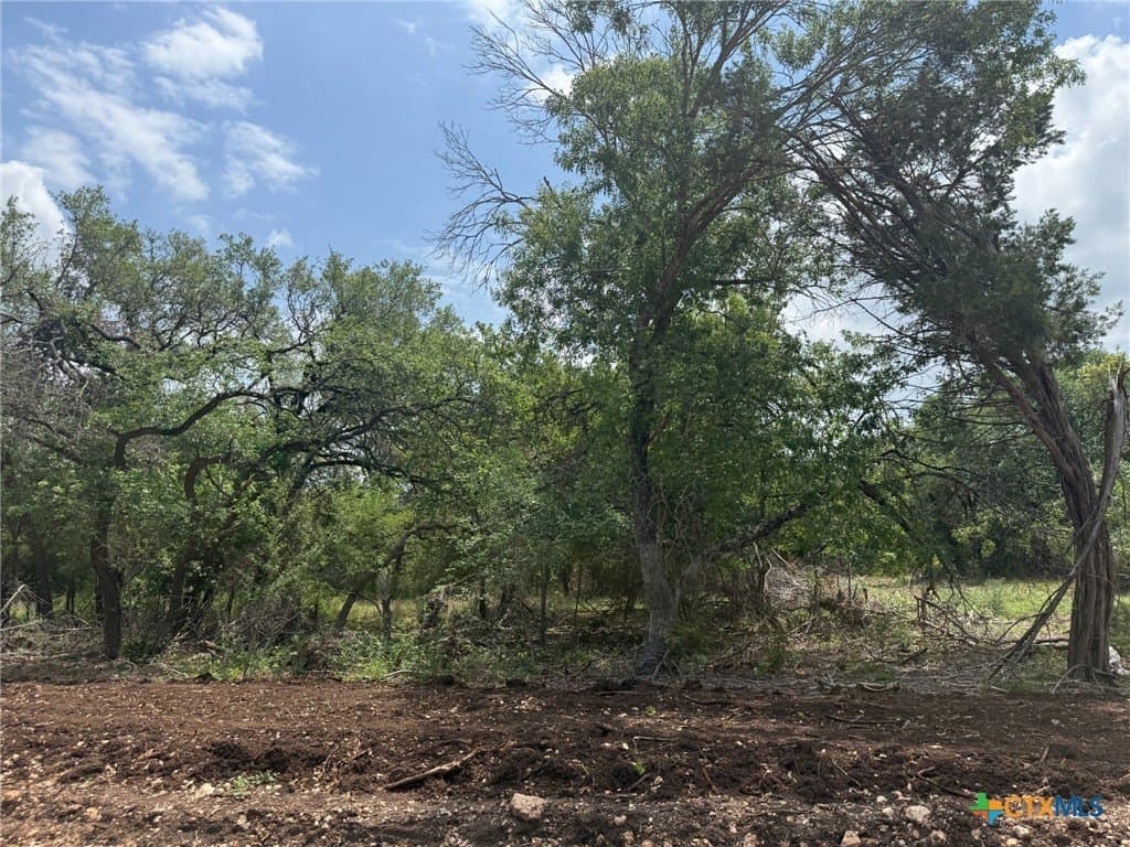 1.52 acres in Bell County gallery image 2
