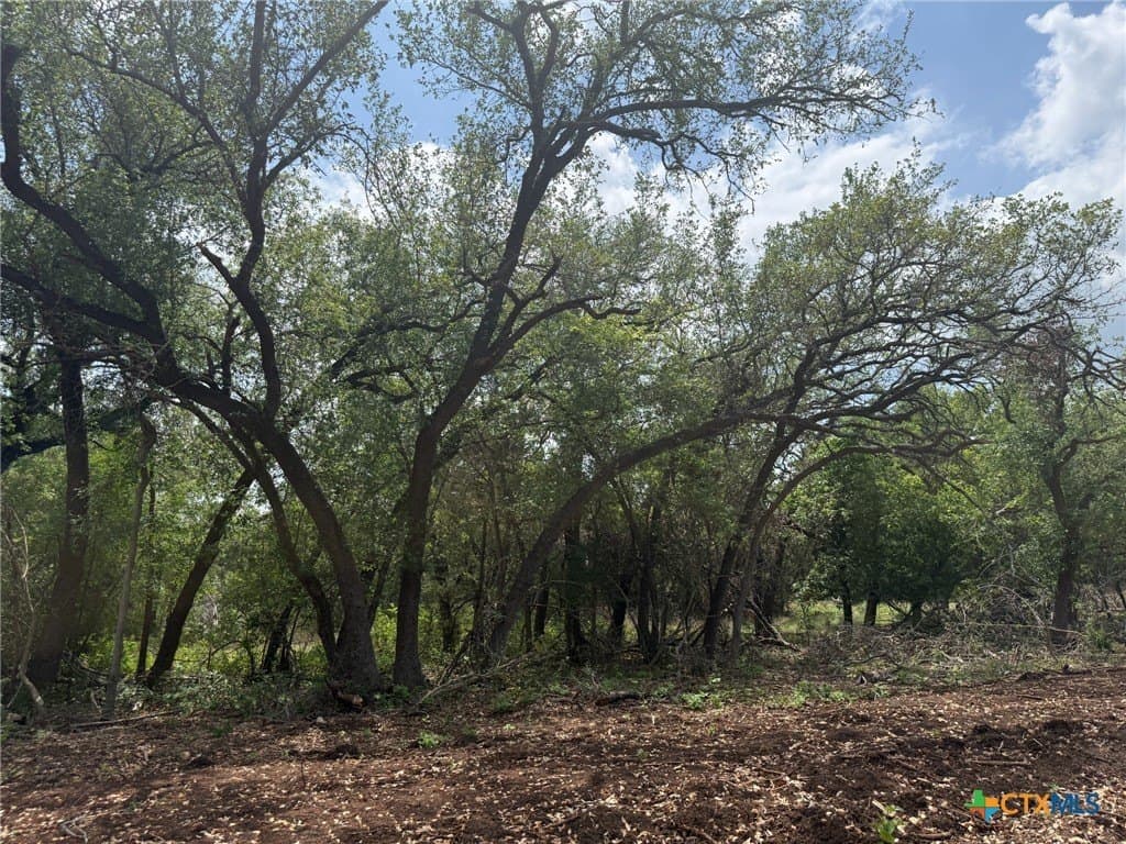 1.52 acres in Bell County gallery image 3